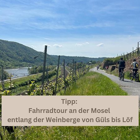 Special Apartment - Stadtnah, Balkon, Parkplatz, E-Ladestation, Gitterbox Fuer Fahrraeder, Fitnessstudio Koblenz  Eksteriør billede